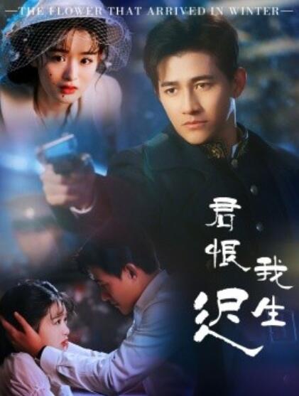 《君恨我生迟》短剧高清全集免费在线观看