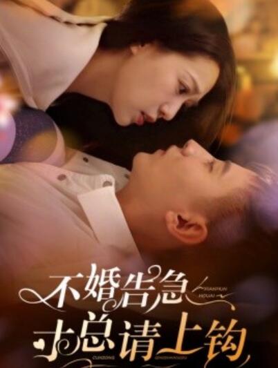 《不婚告急寸总请上钩》短剧高清全集免费在线观看