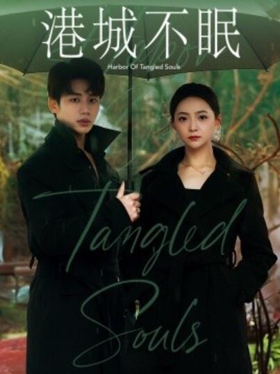 《港城不眠》短剧高清全集免费在线观看