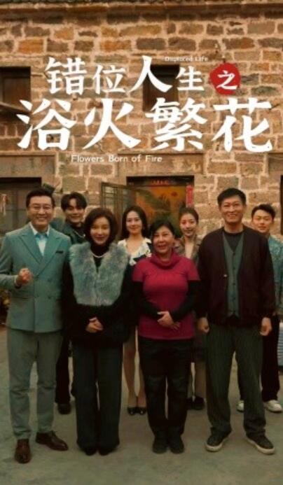 《错位人生之浴火繁花》短剧高清全集免费在线观看
