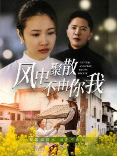 《风中聚散不由你我》短剧高清全集免费在线观看