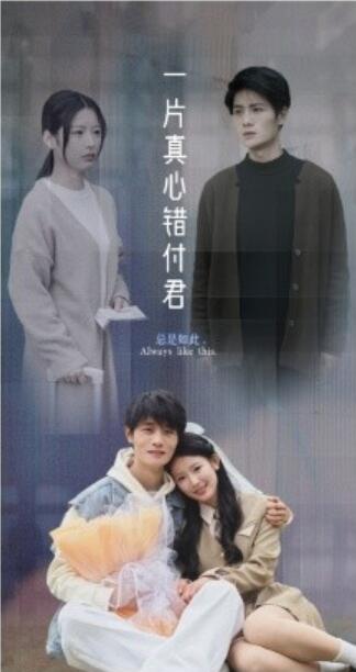 《一片真心错付君》短剧高清全集免费在线观看