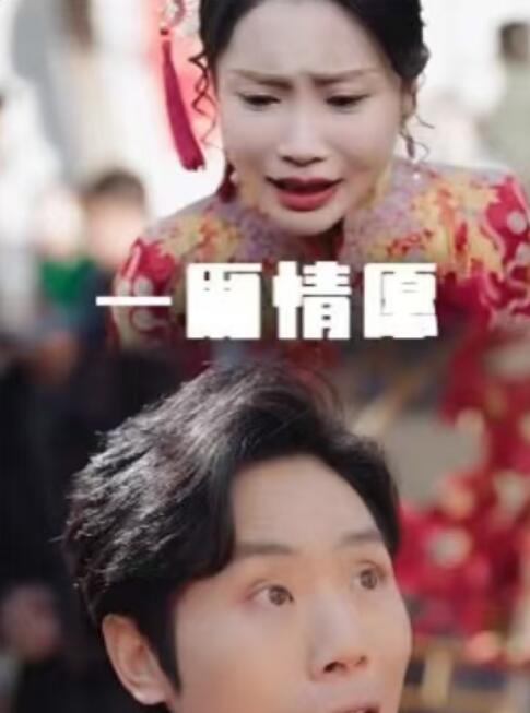 《一厢情愿》短剧高清全集免费在线观看
