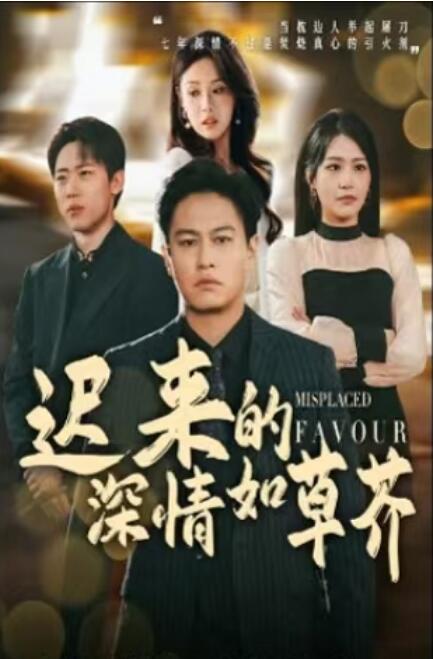 《迟来的深情如草芥》短剧高清全集免费在线观看