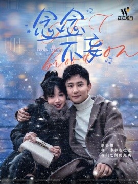 《念念不妄》短剧高清全集免费在线观看