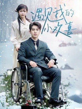 《遇见我的小欢喜》短剧高清全集免费在线观看