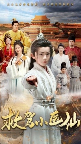 《救驾小医仙》短剧高清全集免费在线观看