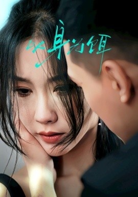 《以身为饵》短剧高清全集免费在线观看