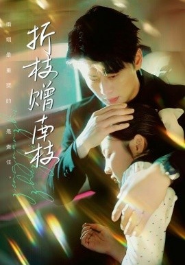 《折枝赠南枝》短剧高清全集免费在线观看