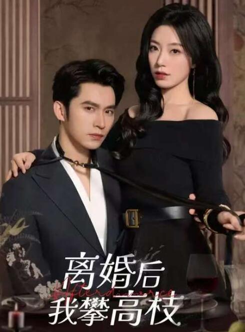 《离婚后攀高枝》短剧高清全集免费在线观看