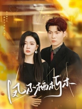 《凤不栖朽木》短剧高清全集免费在线观看