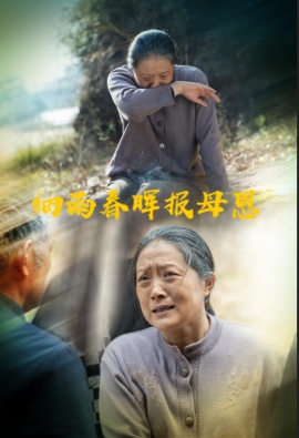 《细雨春晖报母恩》短剧高清全集免费在线观看