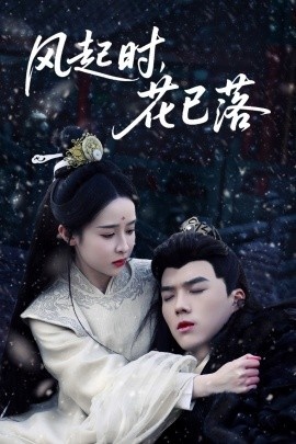 《风起时，花已落》短剧高清全集免费在线观看