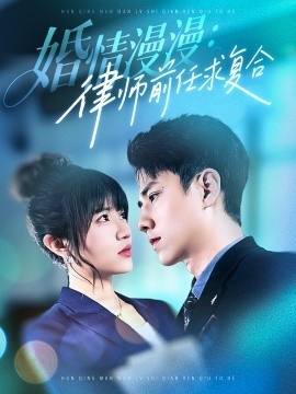 《婚情漫漫：律师前任求复合》短剧高清全集免费在线观看