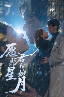《愿君如星我如月》短剧高清全集免费在线观看