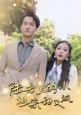 《陆先生的小祖宗甜又飒》短剧高清全集免费在线观看