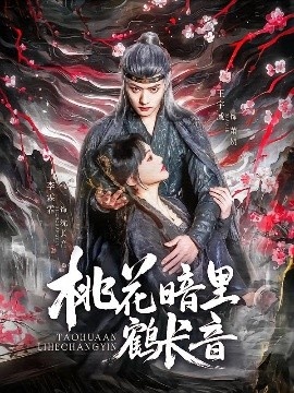 《桃花暗里鹤长音》短剧高清全集免费在线观看
