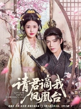 《请君谪我凤凰台》短剧高清全集免费在线观看