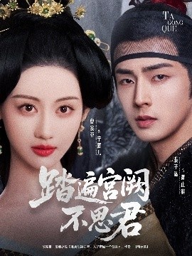 《踏遍宫阙不思君》短剧高清全集免费在线观看