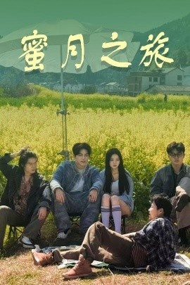 《蜜月之旅》短剧高清全集免费在线观看