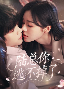 《陆总你逃不掉了》短剧高清全集免费在线观看