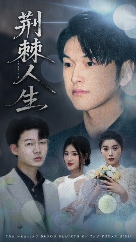 《荆棘人生》短剧高清全集免费在线观看