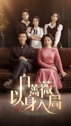 《白蔷薇以身入局》短剧高清全集免费在线观看