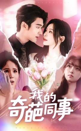 《我的奇葩同事》短剧高清全集免费在线观看