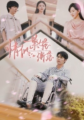 《情似繁花渐落》短剧高清全集免费在线观看