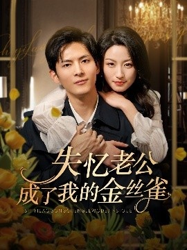 《失忆老公成了我的金丝雀》短剧高清全集免费在线观看