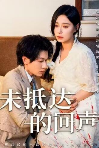 《未抵达的回声》短剧高清全集免费在线观看