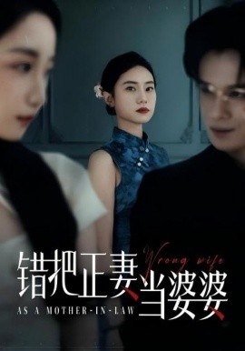 《错把正妻当婆婆》短剧高清全集免费在线观看