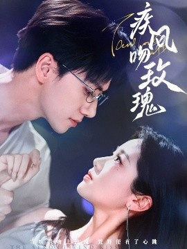 《疾风吻玫瑰》短剧高清全集免费在线观看