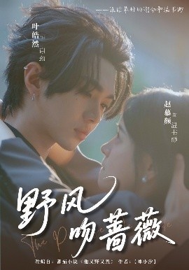 《野风吻蔷薇》短剧高清全集免费在线观看