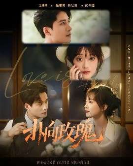 《扑向玫瑰》短剧高清全集免费在线观看