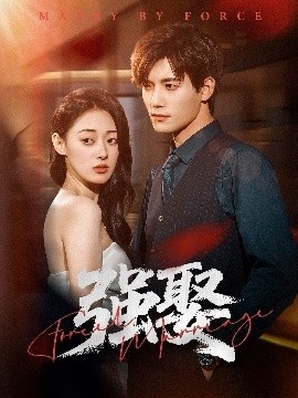 《强娶》短剧高清全集免费在线观看