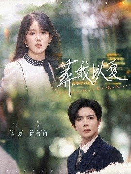 《葬我以夏》短剧高清全集免费在线观看