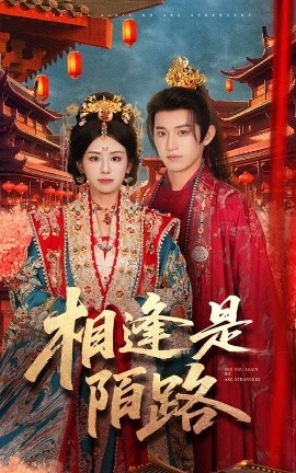 《相逢是陌路》短剧高清全集免费在线观看