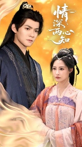 《情深两心知》短剧高清全集免费在线观看
