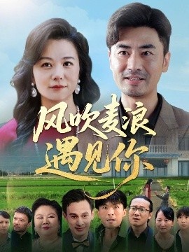 《风吹麦浪遇见你》短剧高清全集免费在线观看