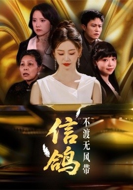 《信鸽不渡无风带》短剧高清全集免费在线观看