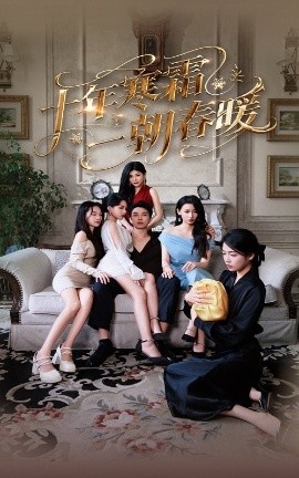 《十年寒霜一朝春暖》短剧高清全集免费在线观看