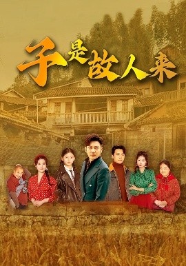 《子是故人来》短剧高清全集免费在线观看
