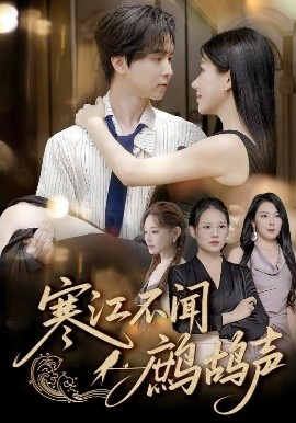 《寒江不闻鹧鸪声》短剧高清全集免费在线观看