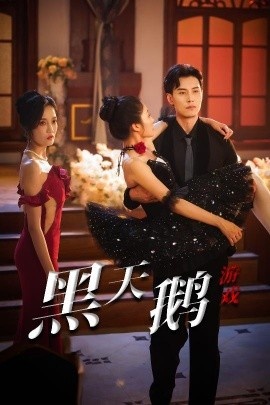 《黑天鹅游戏》短剧高清全集免费在线观看
