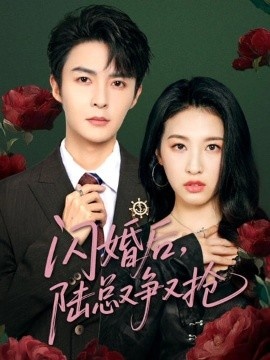 《闪婚后，陆总又争又抢》短剧高清全集免费在线观看