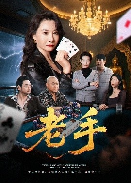 《老手》短剧高清全集免费在线观看