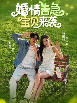 《婚情告急宝贝来袭》短剧高清全集免费在线观看