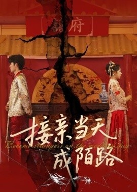 《接亲当天成陌路》短剧高清全集免费在线观看