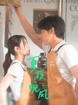 《夏夜晚风》短剧高清全集免费在线观看